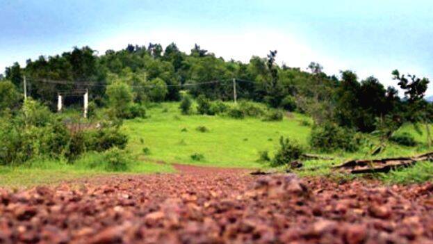 manhampothi manhampothi