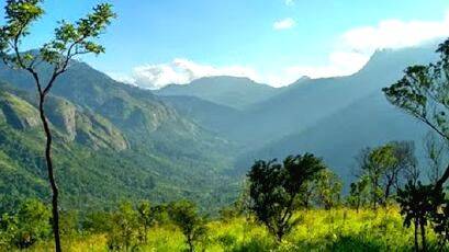 panjalimedu panjalimedu