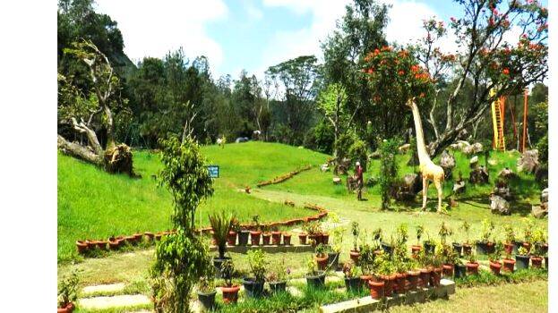 munnar-hydal-park munnar-hydal-park