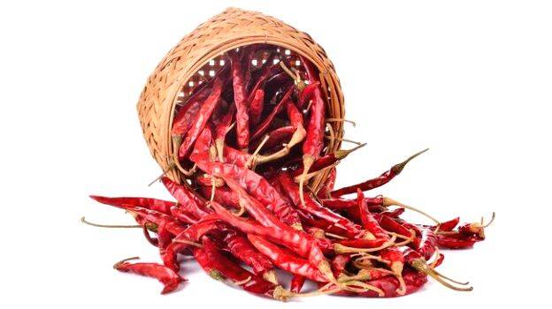 red-chilli red-chilli