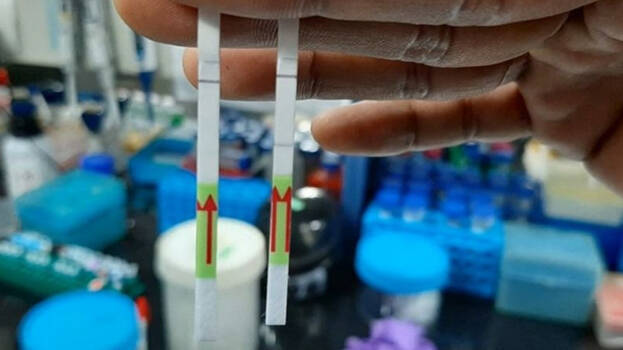 paper-covid19-test- paper-covid19-test-