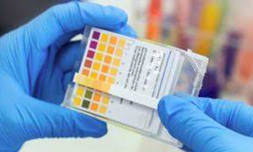 paper-strip paper-strip