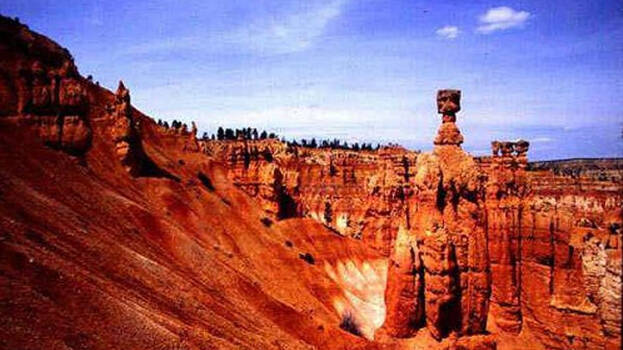 moguicheng- moguicheng-