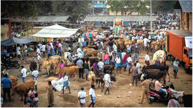 village-market- village-market-