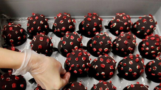 sweet-covid sweet-covid