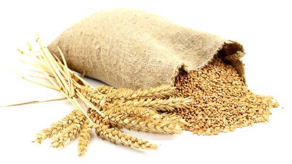 agriculture1 agriculture1