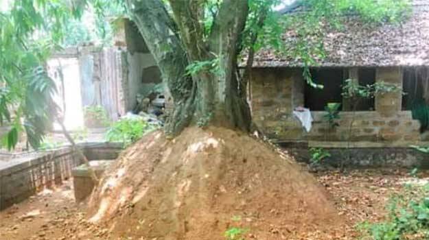 athipotta-mana-kavu athipotta-mana-kavu