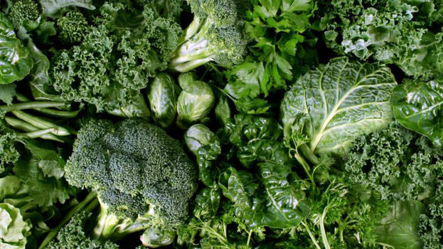 leafy-vegatables leafy-vegatables