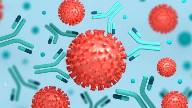 covid-antibody covid-antibody