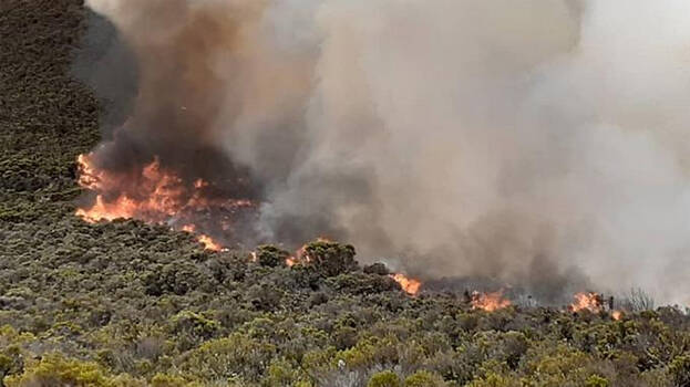 kilimanjaro-wildfire kilimanjaro-wildfire