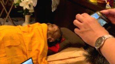 tibetan-scholar tibetan-scholar