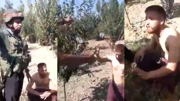 terrorist-surrendering terrorist-surrendering