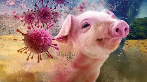 -coronavirus