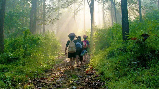 sabarimala-