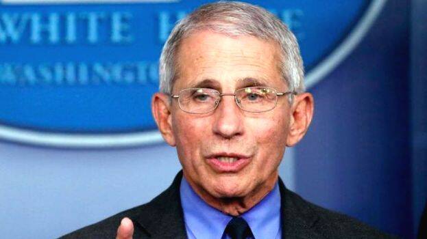 fauci fauci