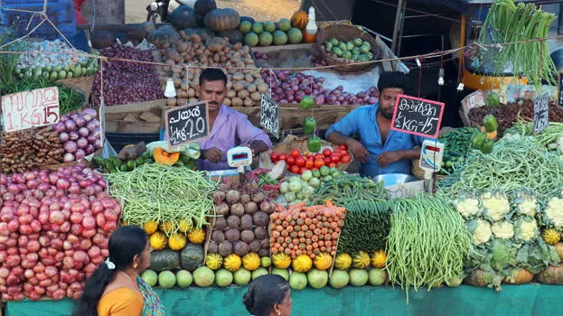ground-value-of-vegetable