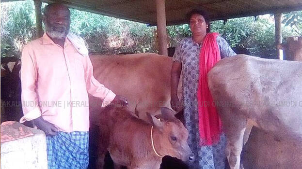 chandrika-soman- chandrika-soman-