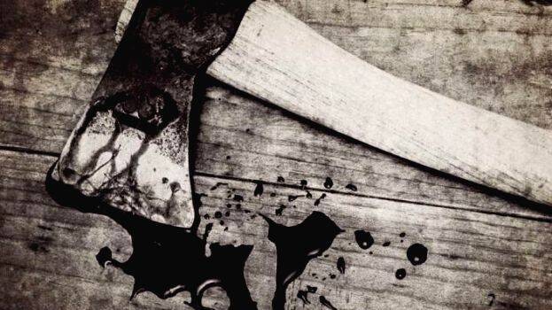 case-diary case-diary