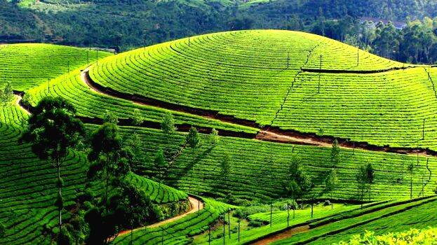 munnar munnar