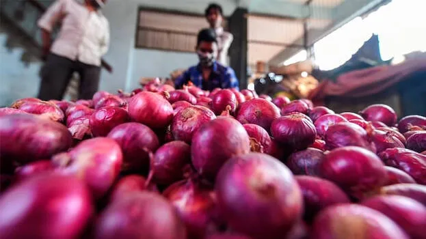 onion