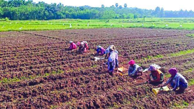 agriculture agriculture