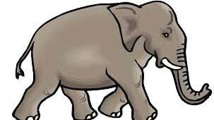 elephent elephent