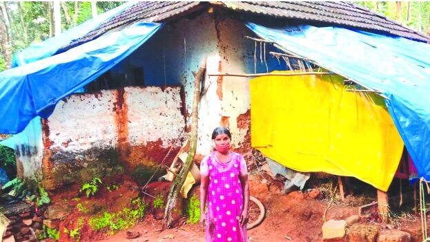 house-kongad house-kongad