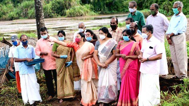 04-kumbikal-ela 04-kumbikal-ela