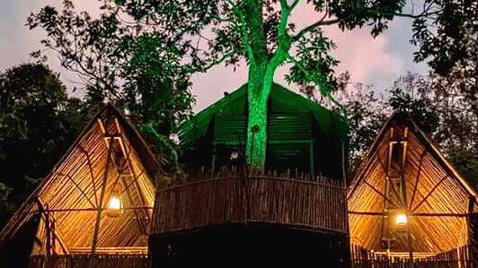 05-tree-house 05-tree-house