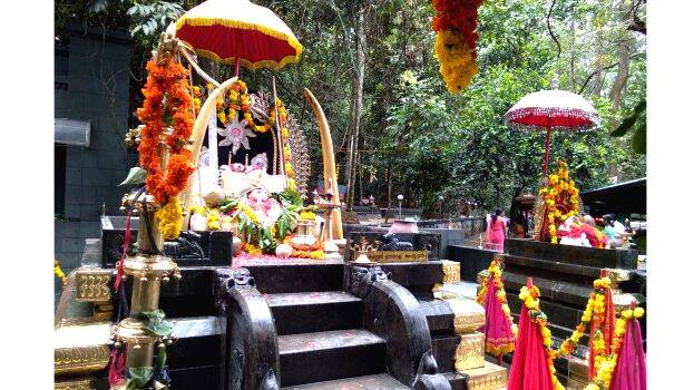 10-kallely-kavu 10-kallely-kavu