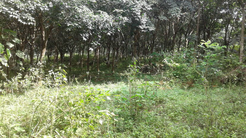 10-harrison 10-harrison