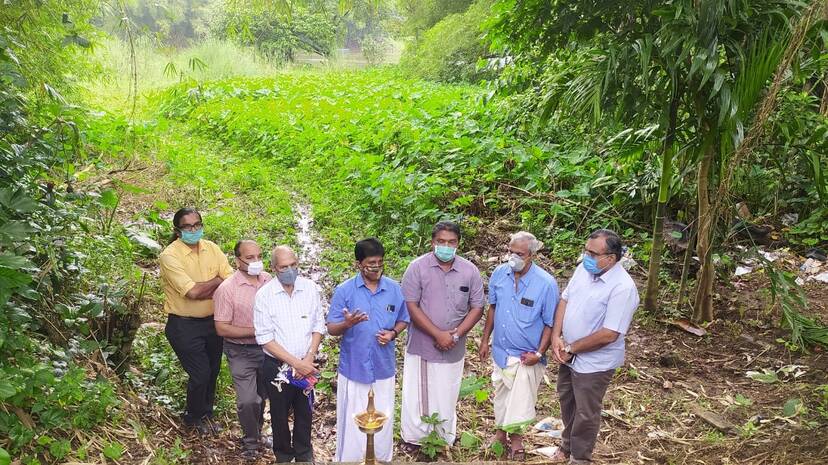 17-cgnr-pacha 17-cgnr-pacha