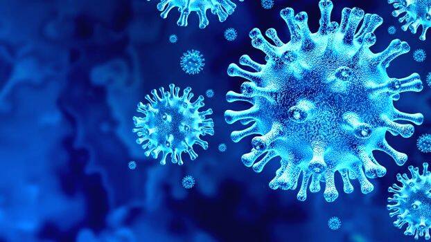 blue-covid blue-covid