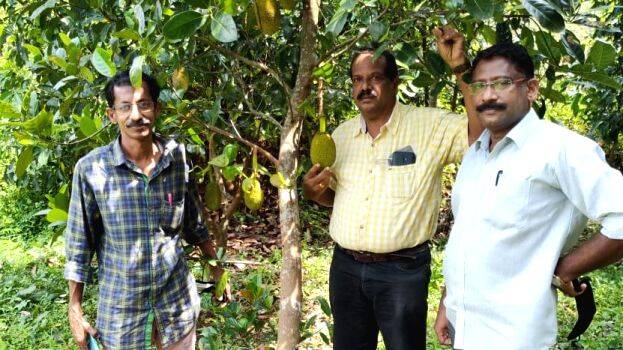 27-plantation-1 27-plantation-1