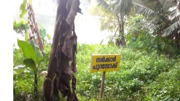 29-revenue 29-revenue