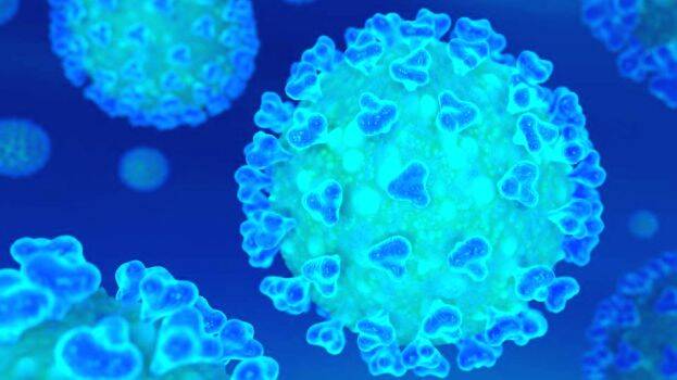 coronavirus coronavirus