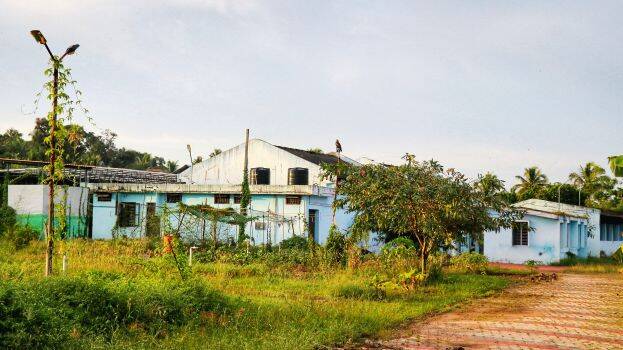 slaughter-house slaughter-house