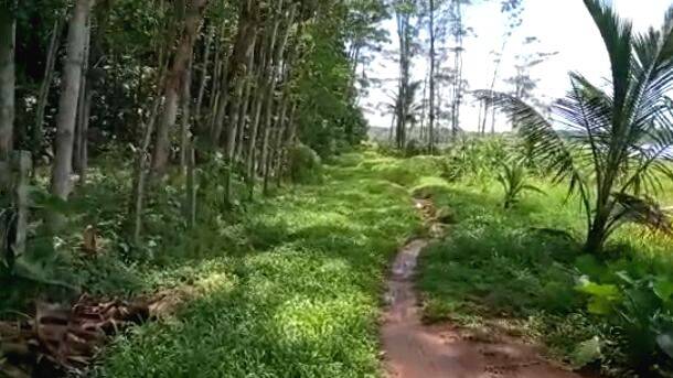 kunnathoor- kunnathoor-