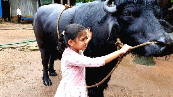 seyba-fathima seyba-fathima