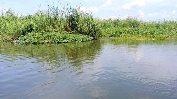 kldc-kanal kldc-kanal