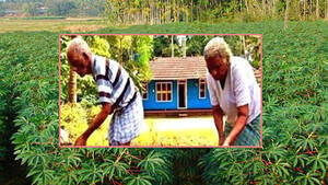 agriculture agriculture