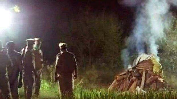 editorial- editorial-