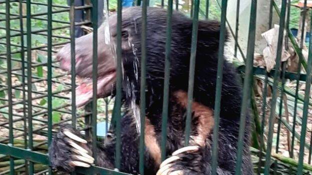 keniyilaya-karadi keniyilaya-karadi