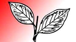 kerala-congress kerala-congress