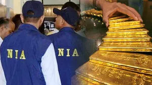 gold-smuggling