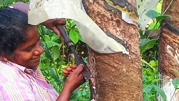 tulasi