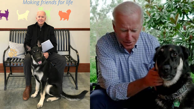 joe-biden
