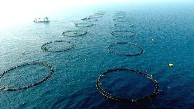 offshore-aquaculture