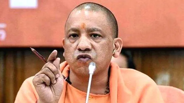yogi