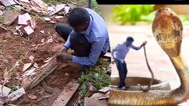 vava-suresh-snake-master